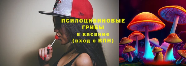 эйфоретик Осинники