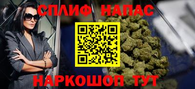 сатива Апшеронск
