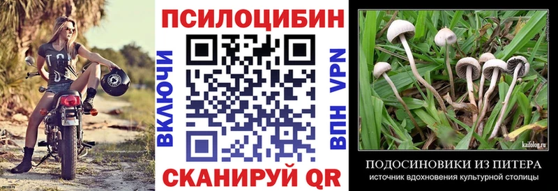 Галлюциногенные грибы Psilocybe  blacksprut ONION  Великий Новгород 