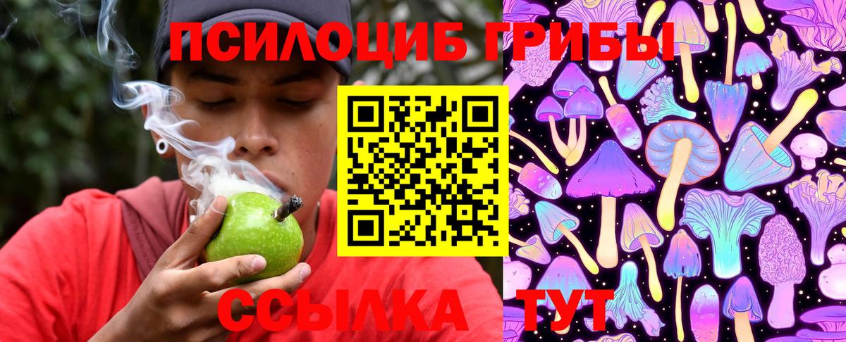 Псилоцибиновые грибы Cubensis  Псилоцибиновые грибы MAGIC MUSHROOMS  Великий Новгород  Вход с VPN 